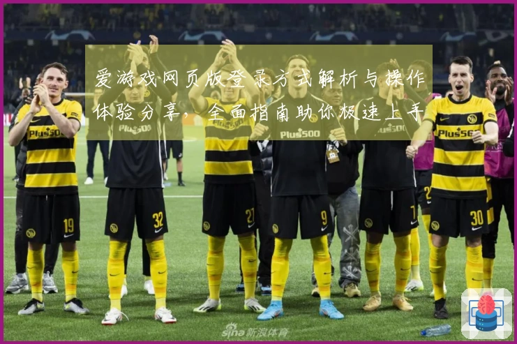 爱游戏网页版登录方式解析与操作体验分享，全面指南助你极速上手