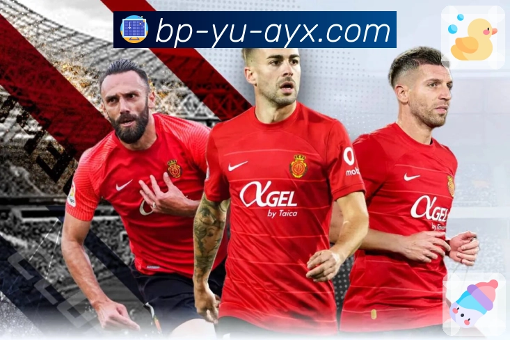 防刷与反干扰流程